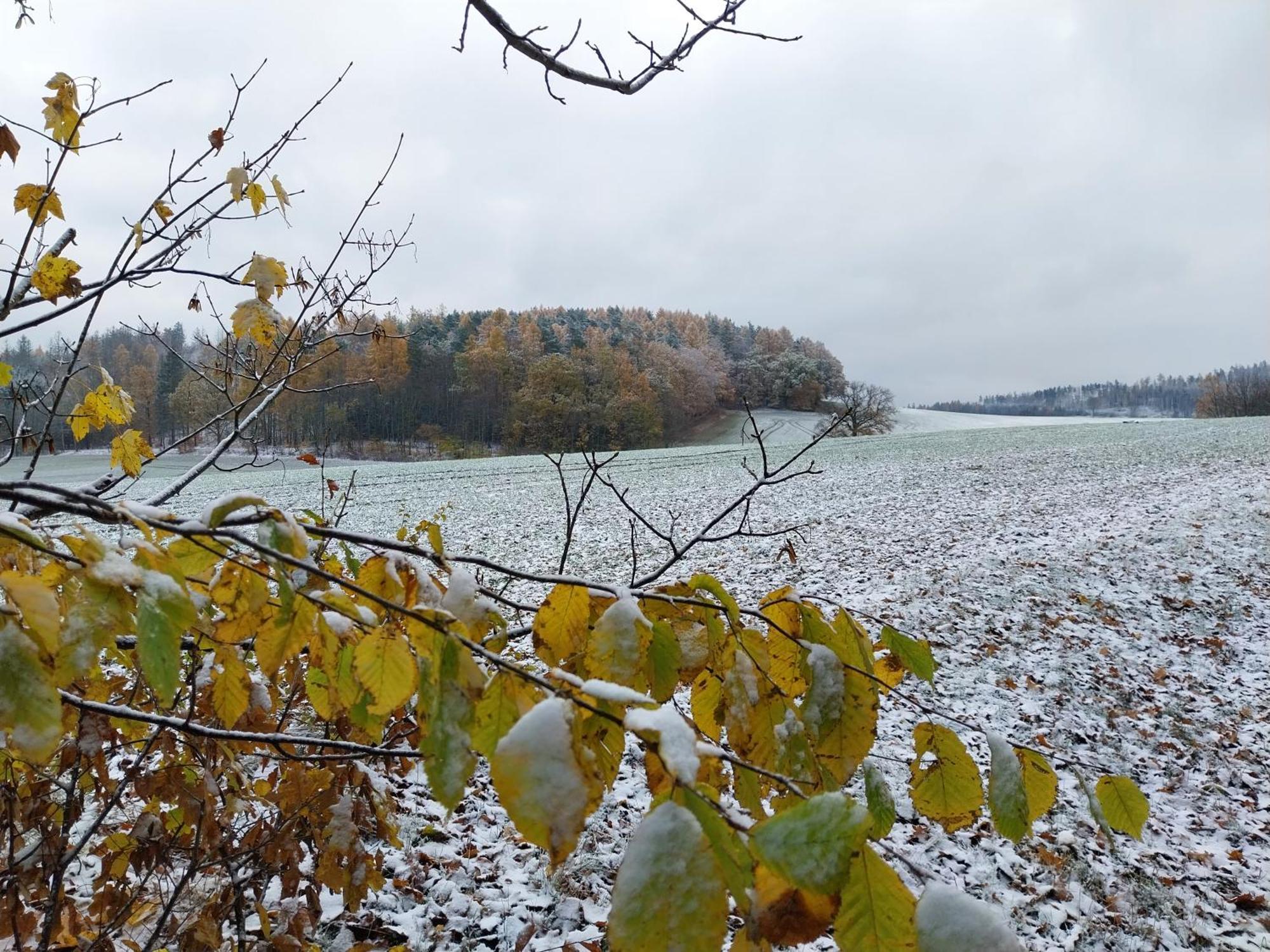 Landhotel Waldschloesschen Mit Gaststube Sohland an der Spree 外观 照片