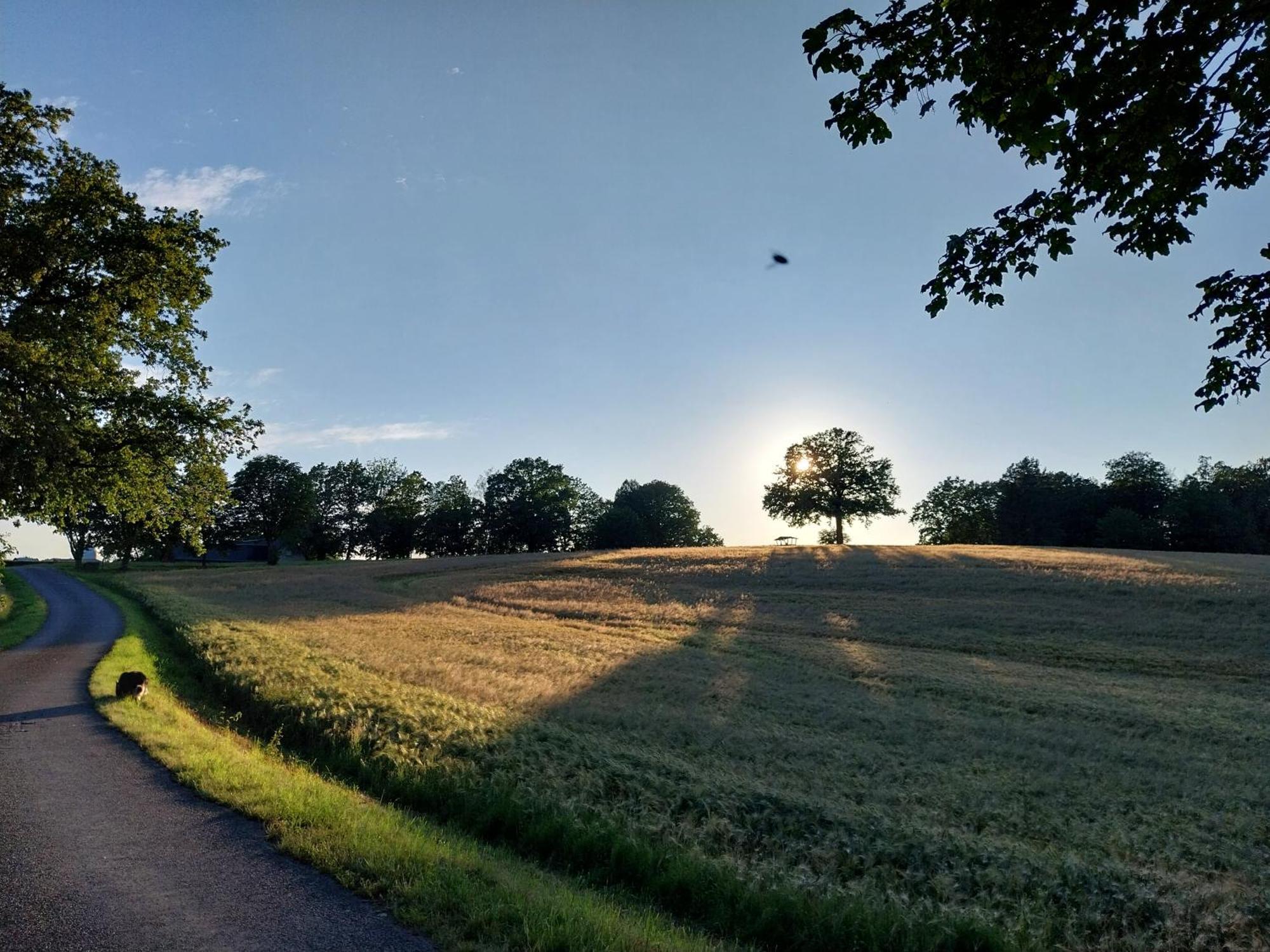 Landhotel Waldschloesschen Mit Gaststube Sohland an der Spree 外观 照片